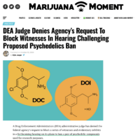 DEA Judge Denies Agency’s Request To Block Witnesses In Hearing Challenging Proposed Psychedelics Ban – Marijuana Moment